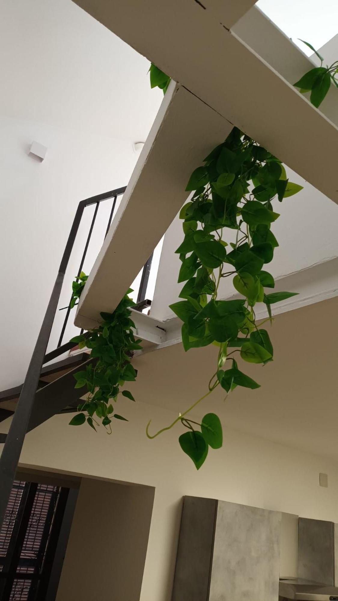 Casa N 1 Con Parcheggio Privato E Colonnina Ricarica Daire Livorno Dış mekan fotoğraf